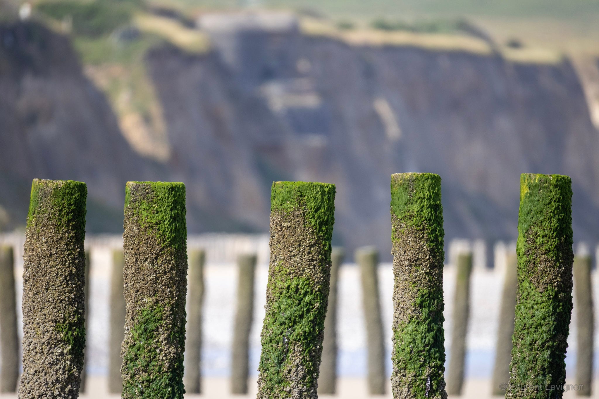 Les piquets de la plage de Sangatte, le cap Blanc-Nez fondu par le téléobjectif.