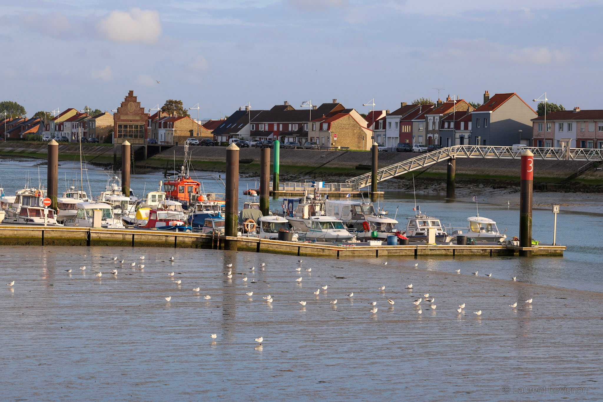 Bateaux de pêche à l'estacade, mouettes sur la vase à marée basse.