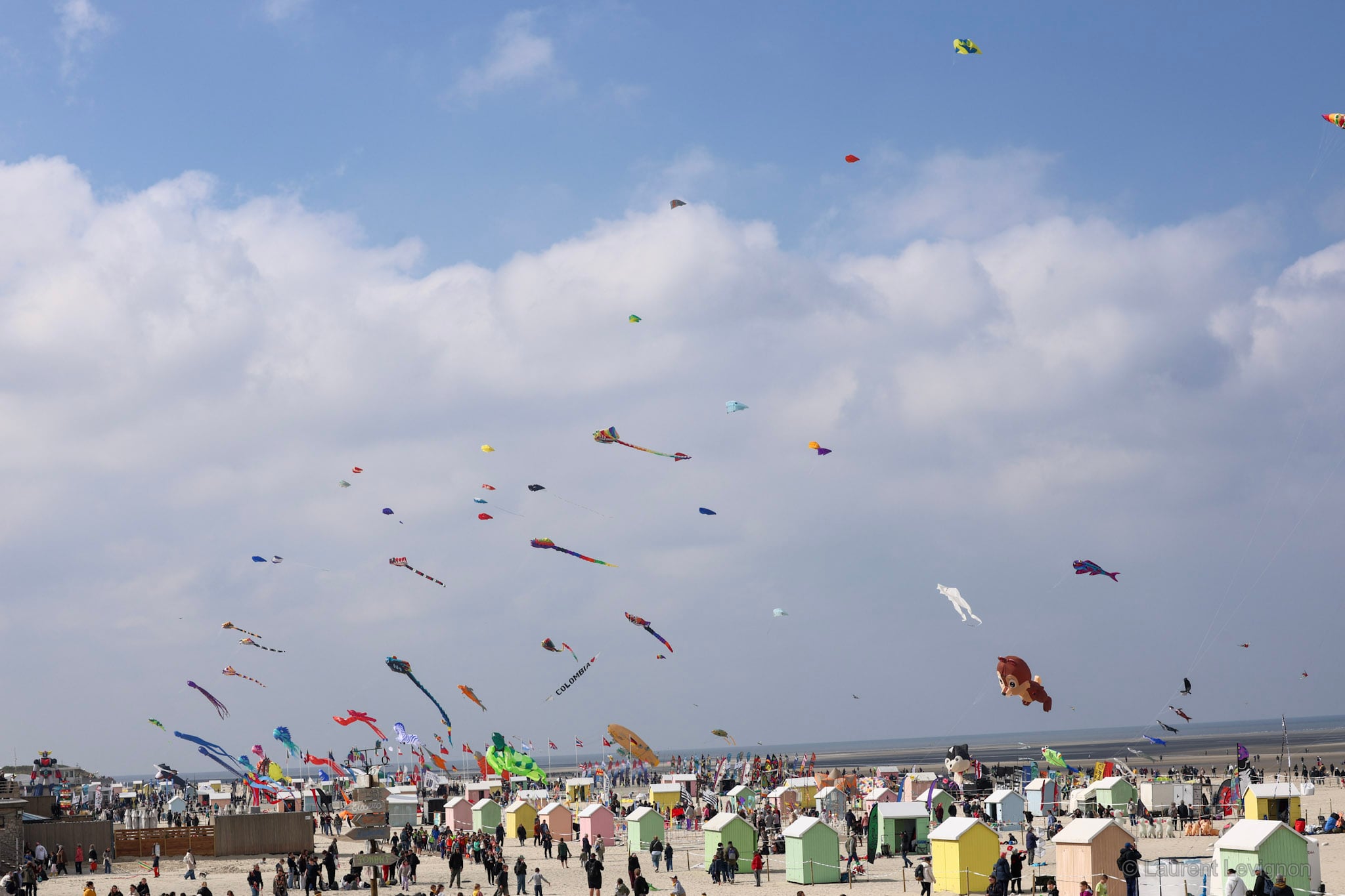 Rencontres internationales de cerfs-volants de Berck-sur-Mer — chaque avril depuis 1987, une nuée d'animaux de toile au-dessus des cabines.