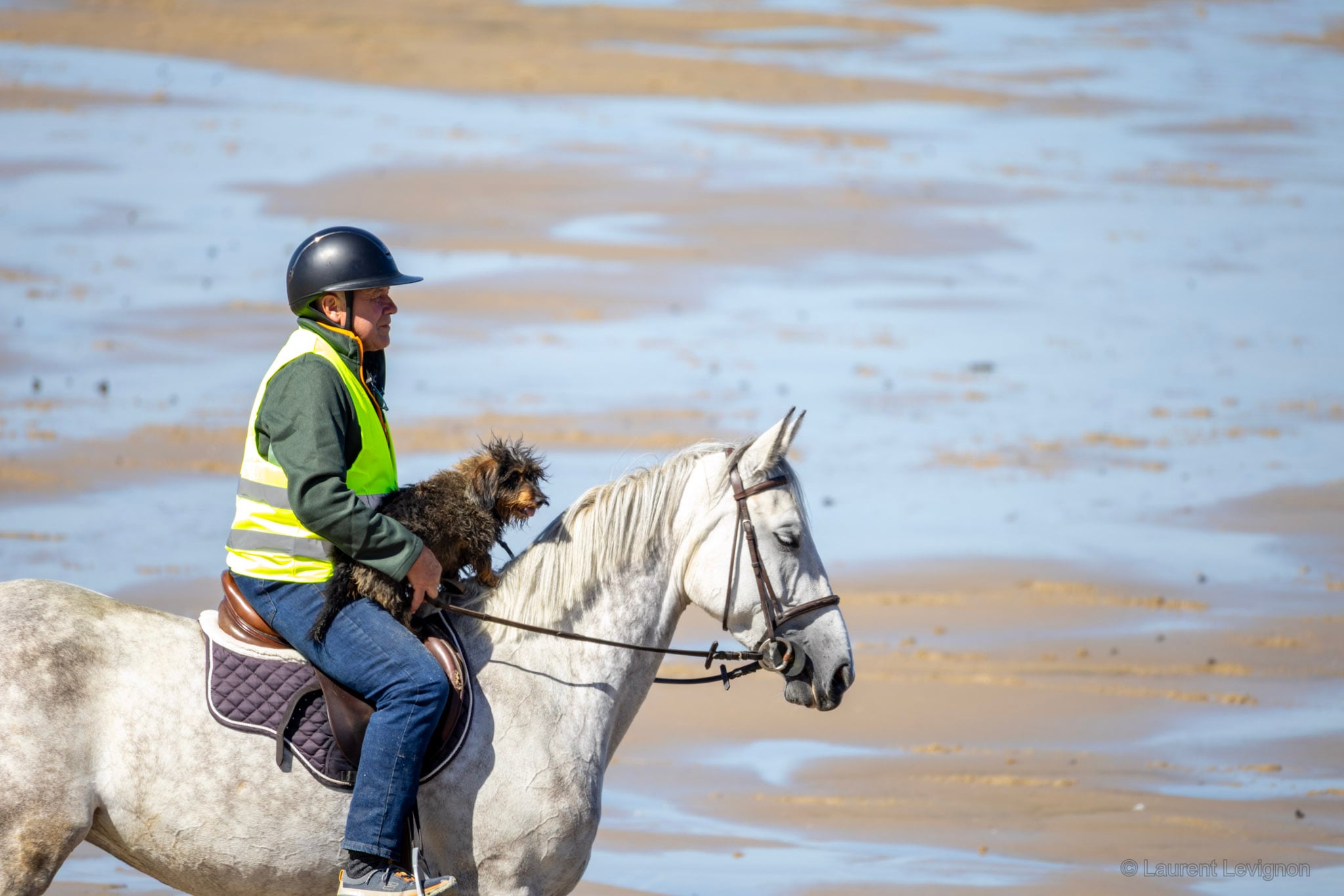 Plage de wimereux