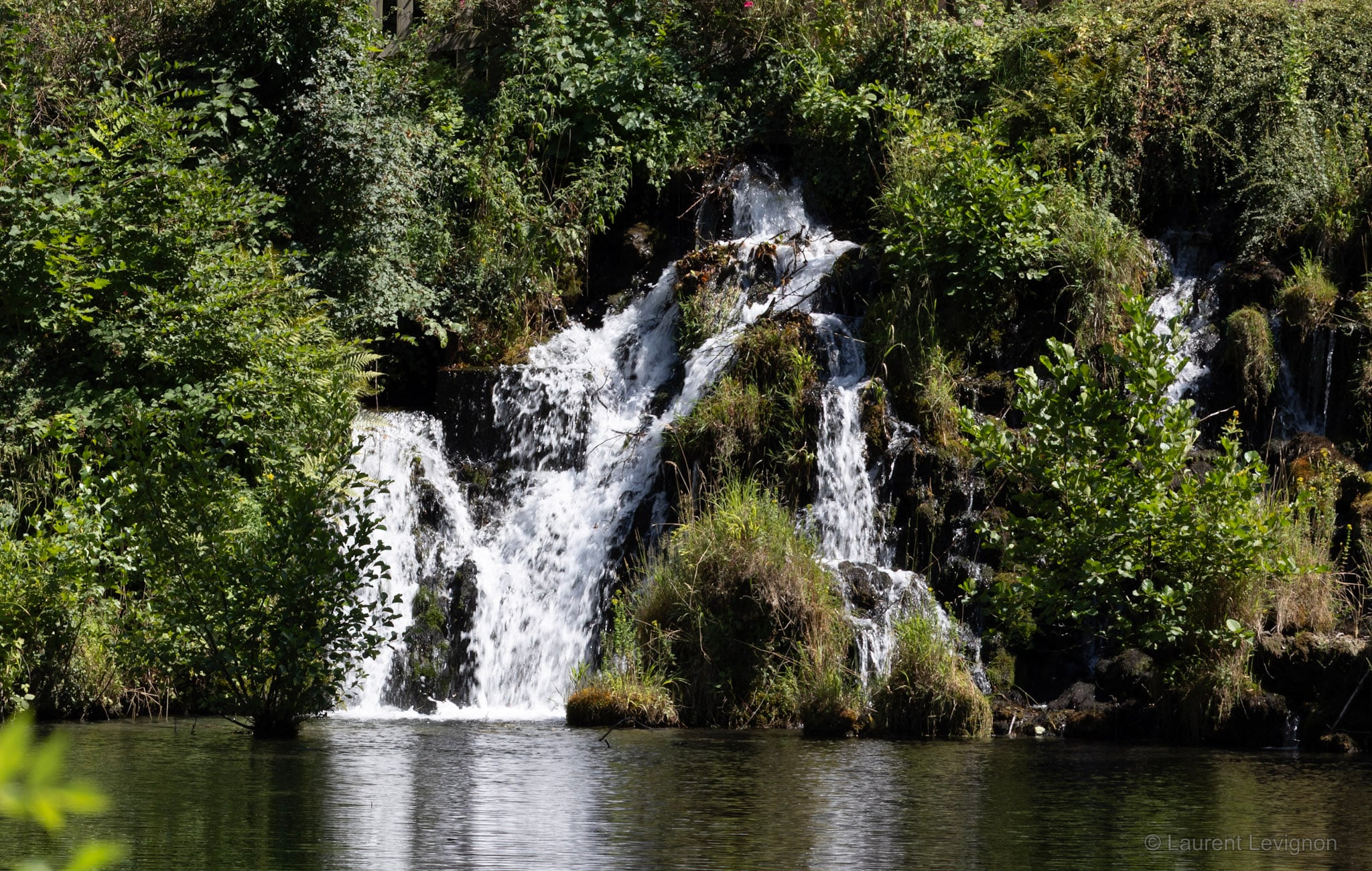 Parc du domaine de Vizille, juillet 2026.